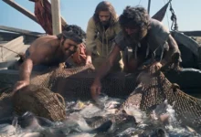 Фільм Ісус досяг 2200 перекладів