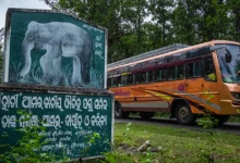 Радикальні індуїсти напали на християнських паломників в Індії, побивши священників у поліцейському відділку