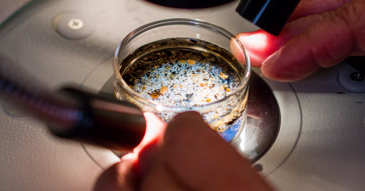 асточки мікропластику під мікроскопом у фолікулярній рідині яєчників