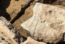 Археологічна знахідка — рельєф царя Ашурбаніпала у тронній залі Ніневії