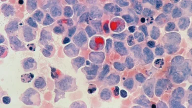 Молекула таурину та клітини крові під мікроскопом