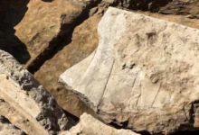 Археологи знайшли у Ніневії величезний рельєф із зображенням царя Ашурбаніпала та богів