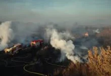 Зруйновані ліси та задимлене небо — наслідки бойових дій для екології