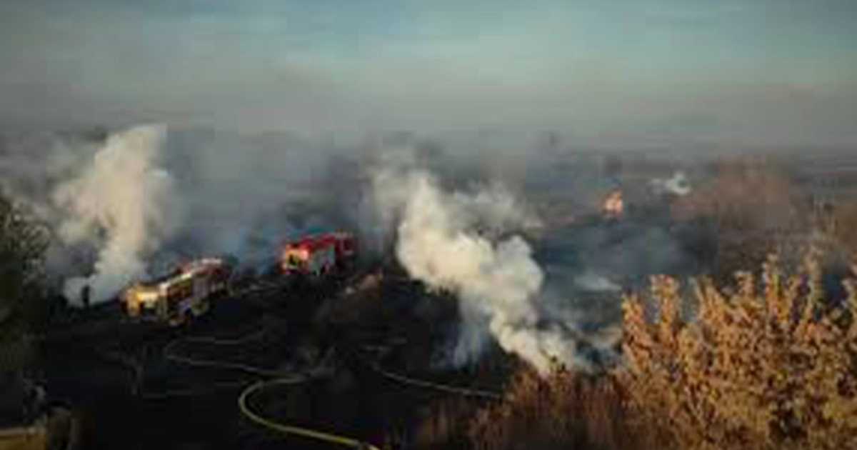 Зруйновані ліси та задимлене небо — наслідки бойових дій для екології