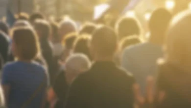 Результати соціологічного дослідження Gradus