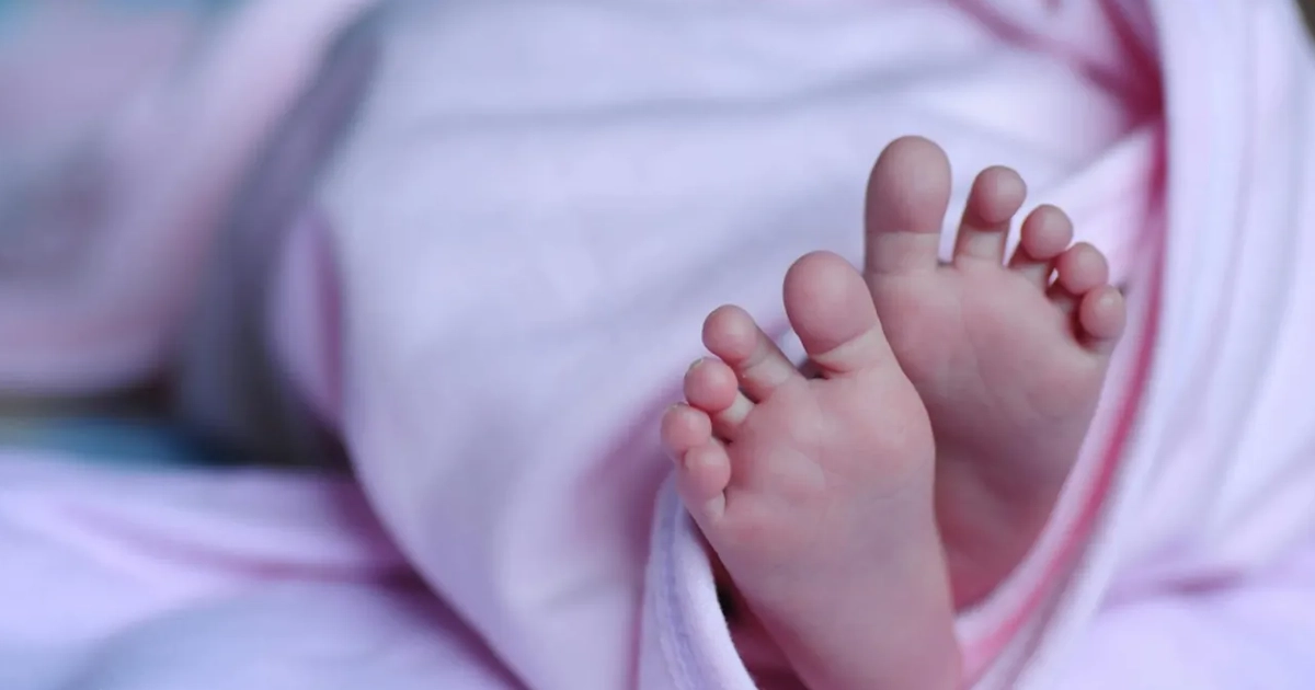 Народжуваність в Україні за тиждень