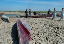Висохле русло річки Євфрат — наслідки кліматичної кризи