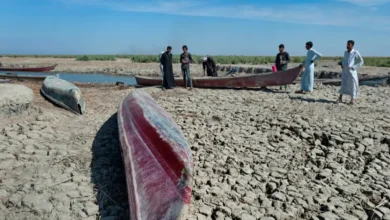 Висохле русло річки Євфрат — наслідки кліматичної кризи