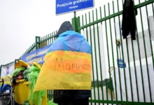 продовження тимчасового захисту для українців