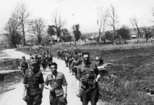 визнання депортації українців з Польщі у 1944–1951 роках