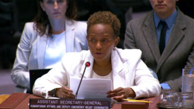 Джойс Мсуя доповідає в ООН про нестачу гуманітарного фінансування для України