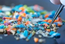 Частинки мікропластику у фолікулярній рідині загрожують фертильності жінок