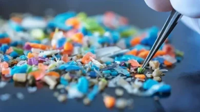 Частинки мікропластику у фолікулярній рідині загрожують фертильності жінок