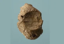 Глиняна печатка з іменем Єдая син Асаягу, знайдена на Храмовій горі