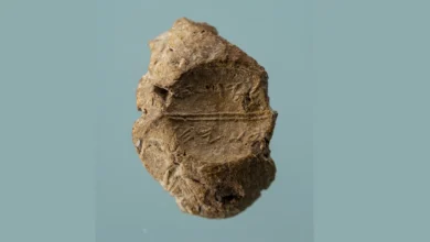 Глиняна печатка з іменем Єдая син Асаягу, знайдена на Храмовій горі