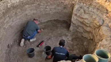 Археологи знайшли 5,5-тисячолітню фабрику з виробництва лез в Ізраїлі