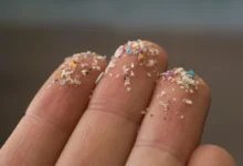 Чай і кава містять найбільше мікропластику — дослідження британських вчених