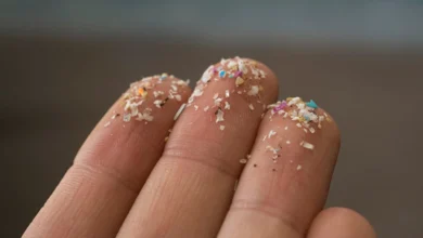 Чай і кава містять найбільше мікропластику — дослідження британських вчених