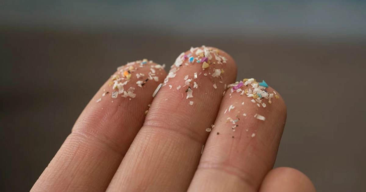 Чай і кава містять найбільше мікропластику — дослідження британських вчених