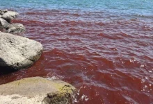 Яскраво-червоні хвилі Галілейського моря в Ізраїлі