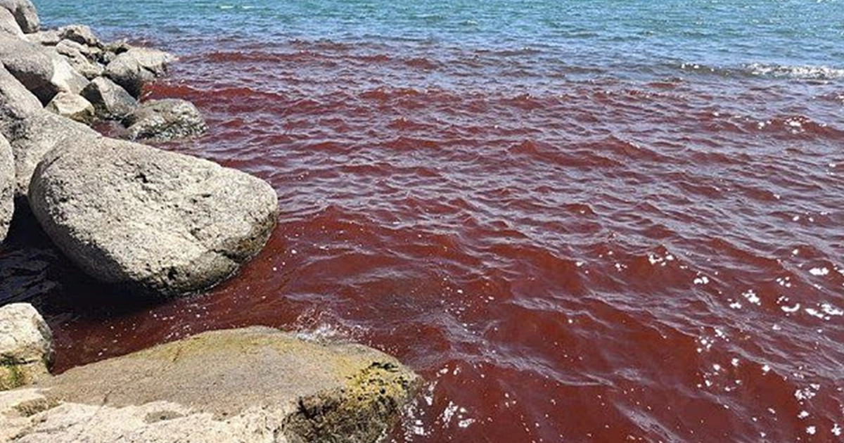 Яскраво-червоні хвилі Галілейського моря в Ізраїлі