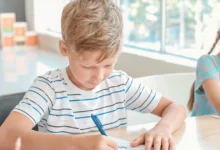 Навчальний рік 2025/2026