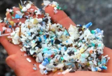 Нанопластик і мозок: нове дослідження пов’язує його з хворобами Альцгеймера та Паркінсона