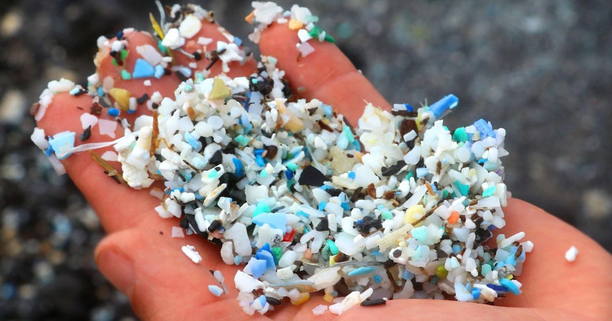 Нанопластик і мозок: нове дослідження пов’язує його з хворобами Альцгеймера та Паркінсона