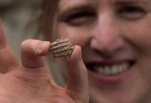 Біля Стіни плачу знайшли ассирійську клинописну печатку віком 2700 років