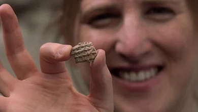 Біля Стіни плачу знайшли ассирійську клинописну печатку віком 2700 років