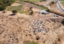 археологічні знахідки Колоси