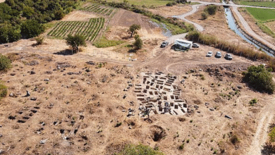 археологічні знахідки Колоси
