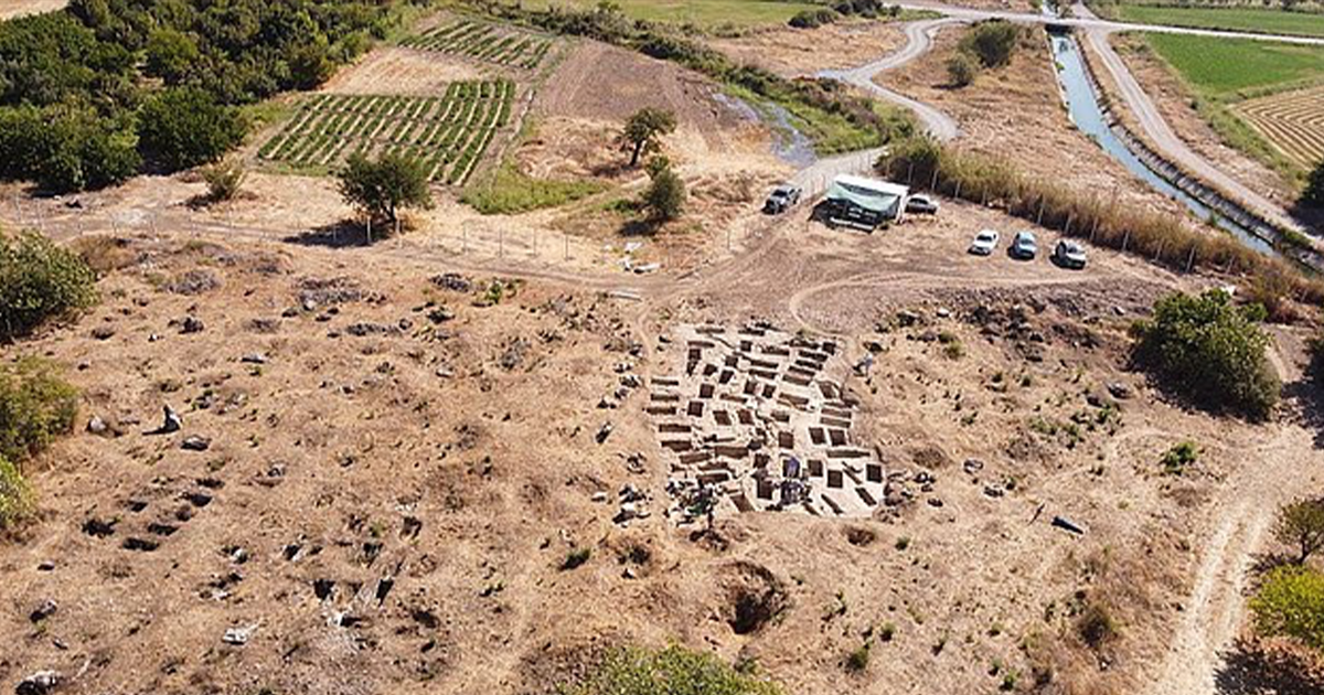 археологічні знахідки Колоси