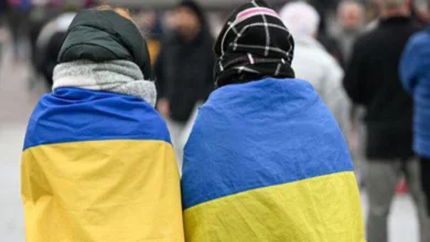 Половина українських біженців готова повернутися за умови безпеки, членства в НАТО і реформ — ifo Institute