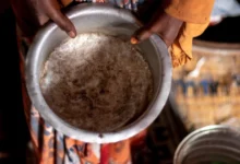 Звіт ООН показує зменшення світового голоду, але погіршення ситуації в Африці