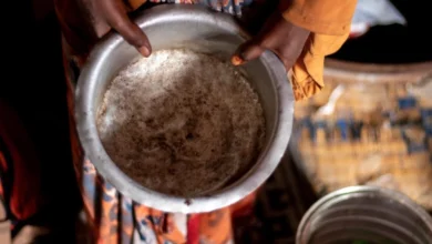 Звіт ООН показує зменшення світового голоду, але погіршення ситуації в Африці