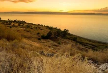 Місце, де Ісус вигнав бісів у стадо свиней