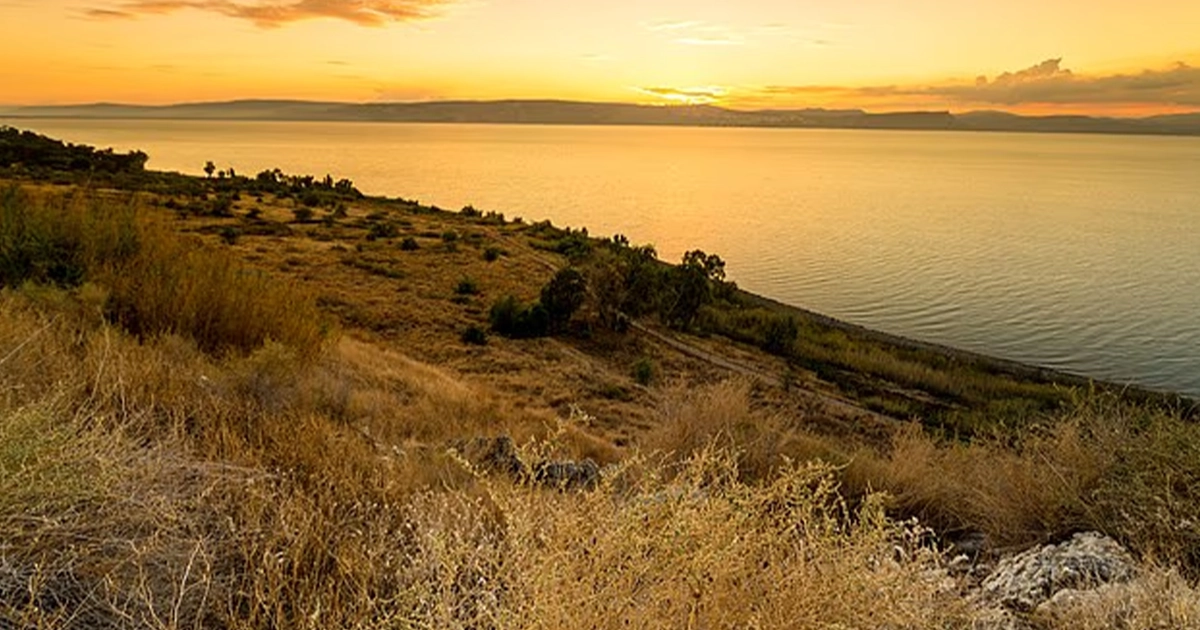 Місце, де Ісус вигнав бісів у стадо свиней