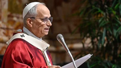 Папа Лев XIV у Ватикані під час проголошення доктрини про спасіння через Ісуса Христа