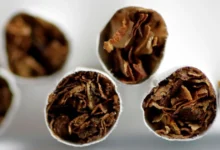 тютюнопаління в Україні