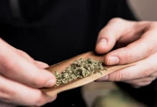 Підлітки, які рано почали вживати канабіс, мають підвищені ризики для здоров’я