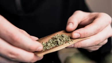 Підлітки, які рано почали вживати канабіс, мають підвищені ризики для здоров’я