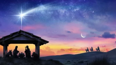 Що ми насправді знаємо про перше Різдво: біблійні факти і традиції