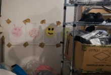 Українці за кордоном дедалі рідше планують повернення — Центр Разумкова