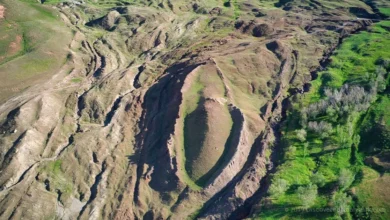 Знахідки в Туреччині знову підживили дискусію про Ноїв ковчег