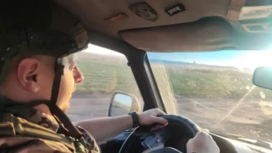 Війна в Україні спричинила обвал шлюбів і народжуваності — НАН