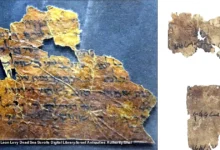 Розшифровано код Сувоїв Мертвого моря: відкрито біблійні тексти