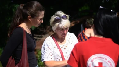 Майже 185 тис. звернень до служби розшуку УЧХ з початку війни