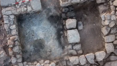 Археологи: старші керували домом в Ізраїлі залізної доби