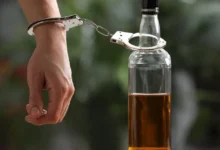 Алкоголь порушує зв’язки мозку — нове дослідження